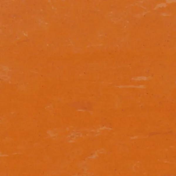 Orange Tango 702