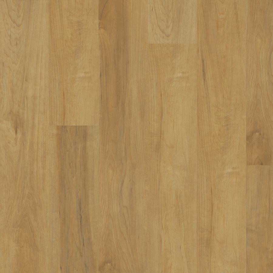 Dusted Maple