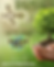 Branching Out: Reforestation
