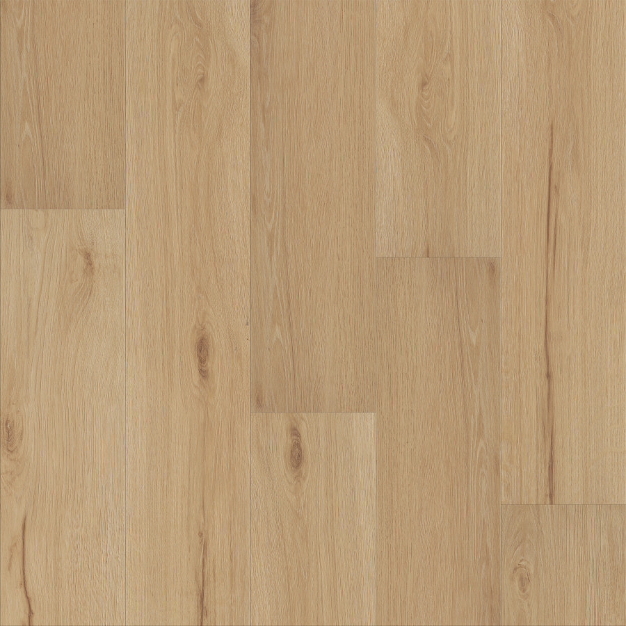 Sunbaked Oak