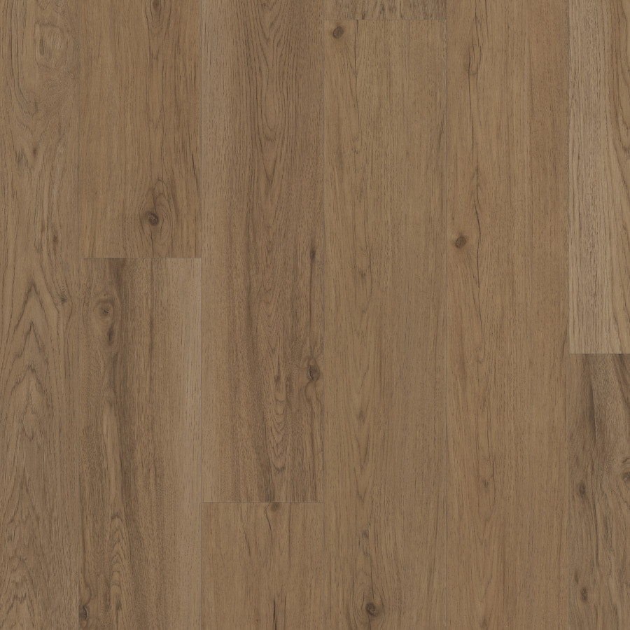 Toasted Alder