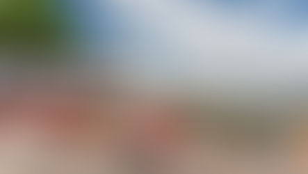 UNIQUE LUXURY TRAVEL AFRICA-STYLE