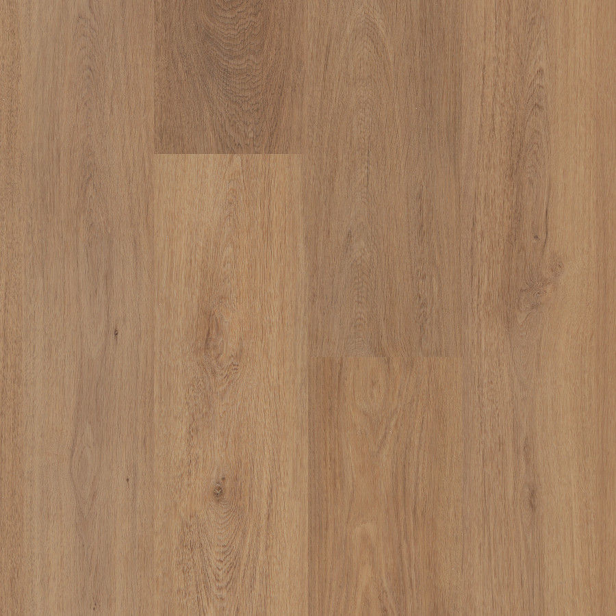 Russet Oak