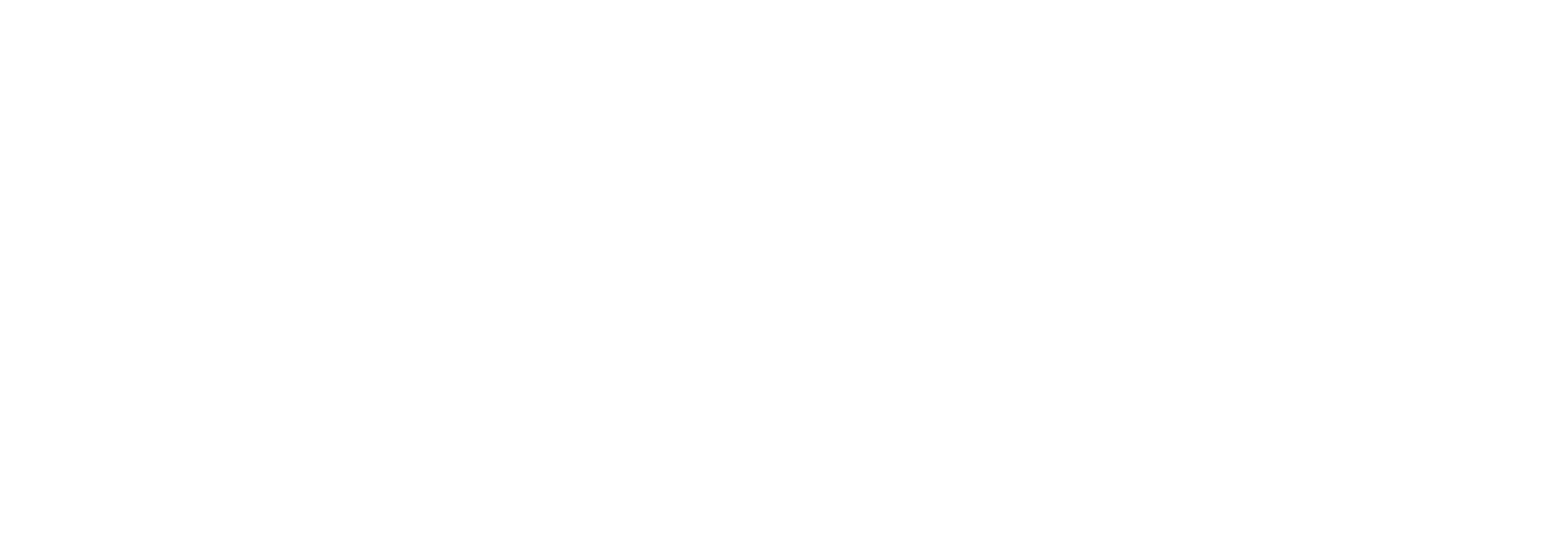 Sportiva Exotic Performance Logo