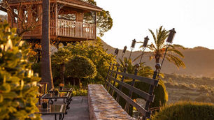 WHAT DO LUXURY TREE HOUSE VACATIONS PROVIDE?