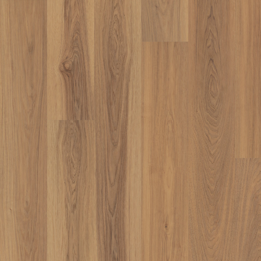 Silica Hickory