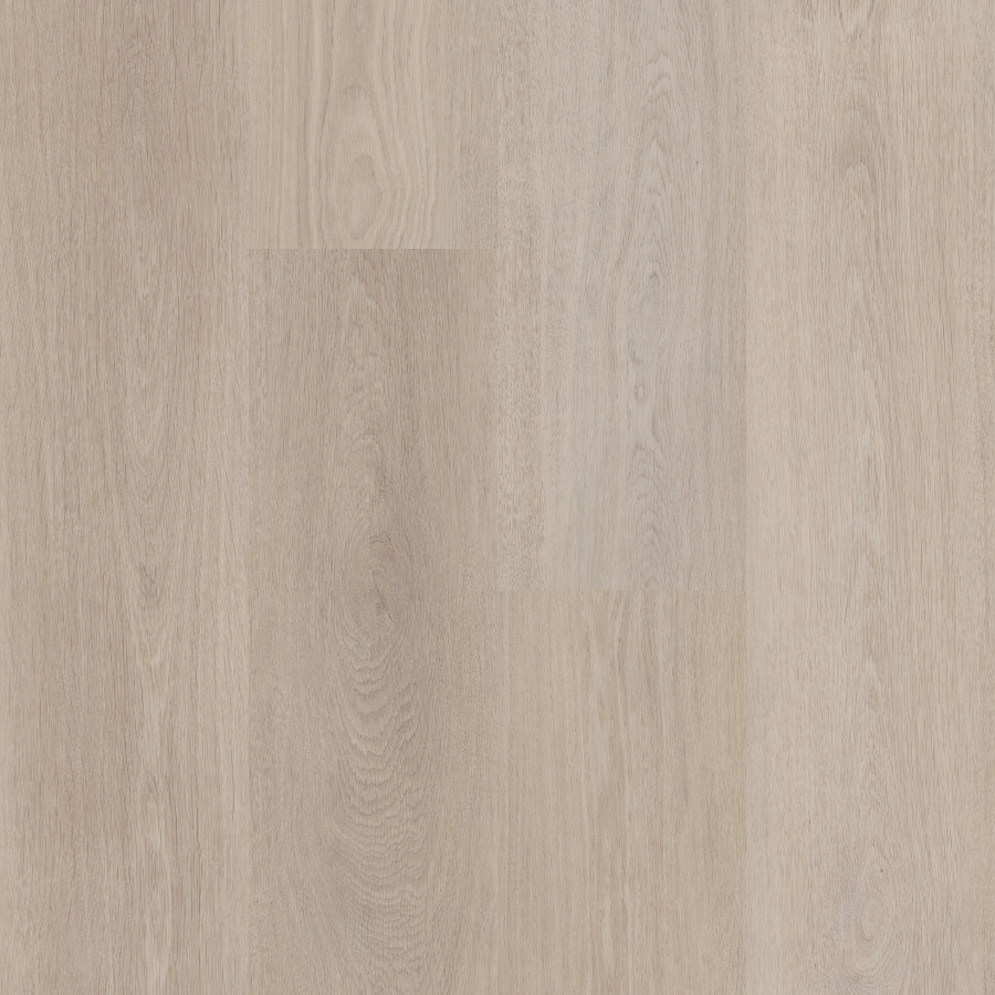 Shale Oak