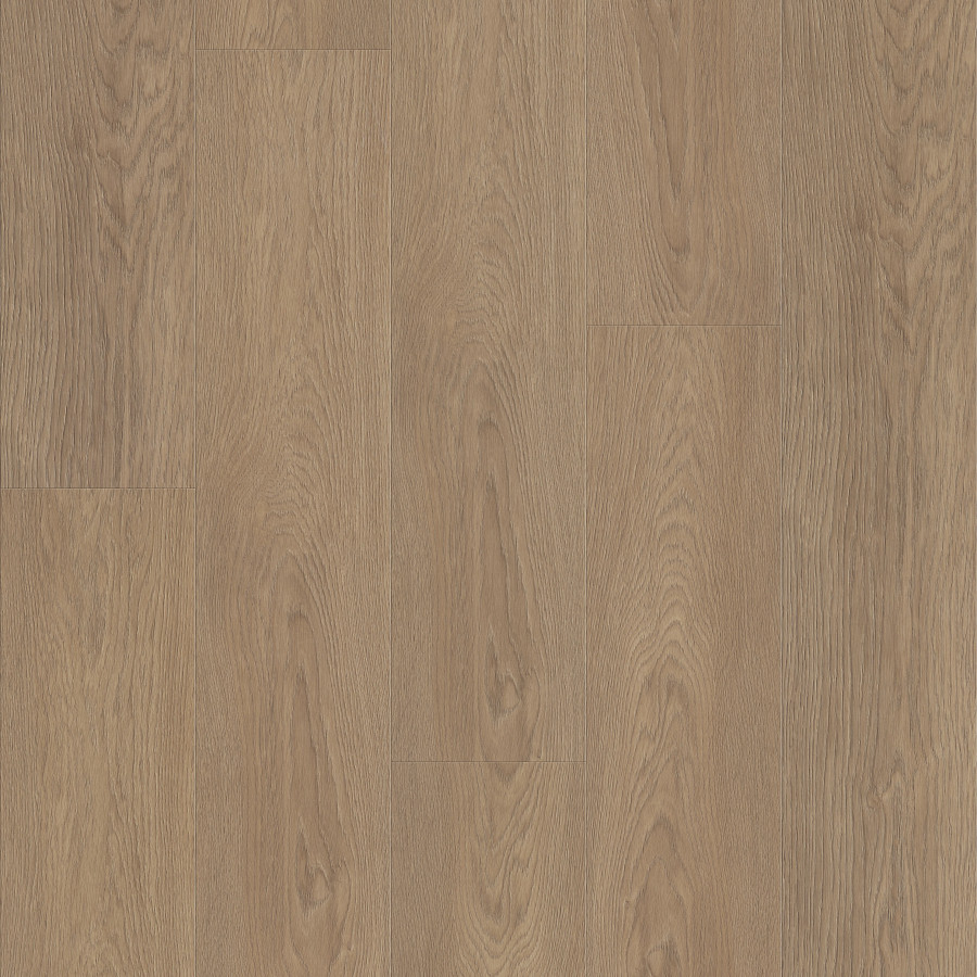 Wingback Brown