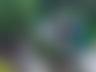 Transform Your Outdoors with Expert Landscaping Providers