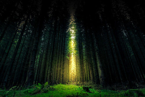 Integrity on the Spiritual Journey