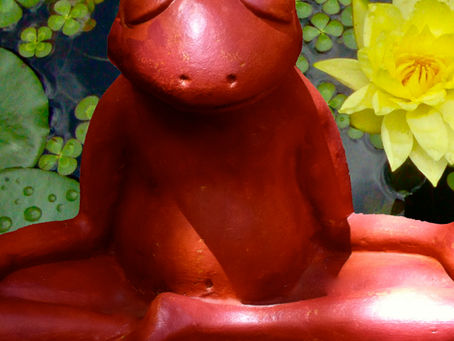 What is Meditation