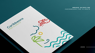 Brand Guidelines  Caribbeans For Climate.png
