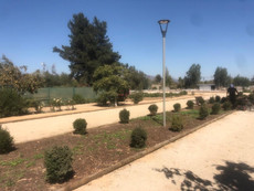 Terreno en olmue.jpeg