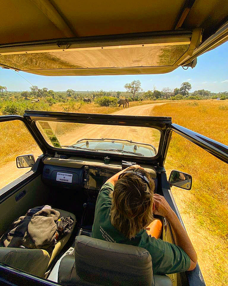 Game Drives in the Kruger National Park