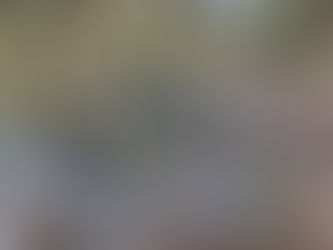 עין הכובשים – יער חניתה.