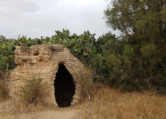 20190502_122735.jpg