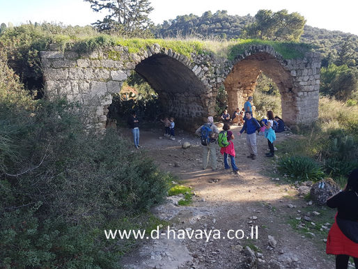 שלוחת איילה חורבת שמרי ונחל שמרי – הר הכרמל.