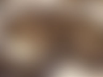 חורבת בית נטיף – בית שמש.