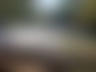 מפל הירדן כפר בלום (הירדן ההיסטורי)