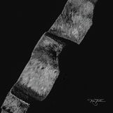 Cogs on a wheel rendered in a monochrome vision.