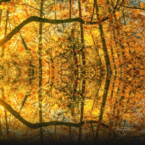 Symmetrical autumn forest, vibrant yellow and orange leaves.