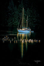 Anchored sailboat, golden light reflecting on dark ice, flock of birds standing on ice.
