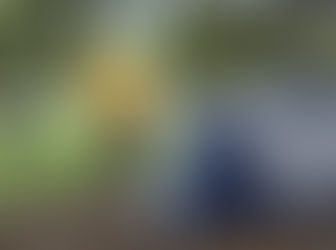 A Busy Day at Musgrave Park