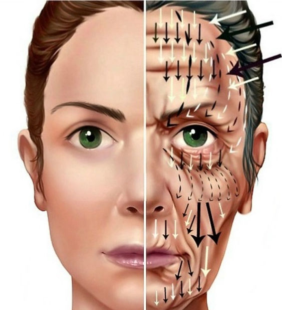 aging-process copy.jpg