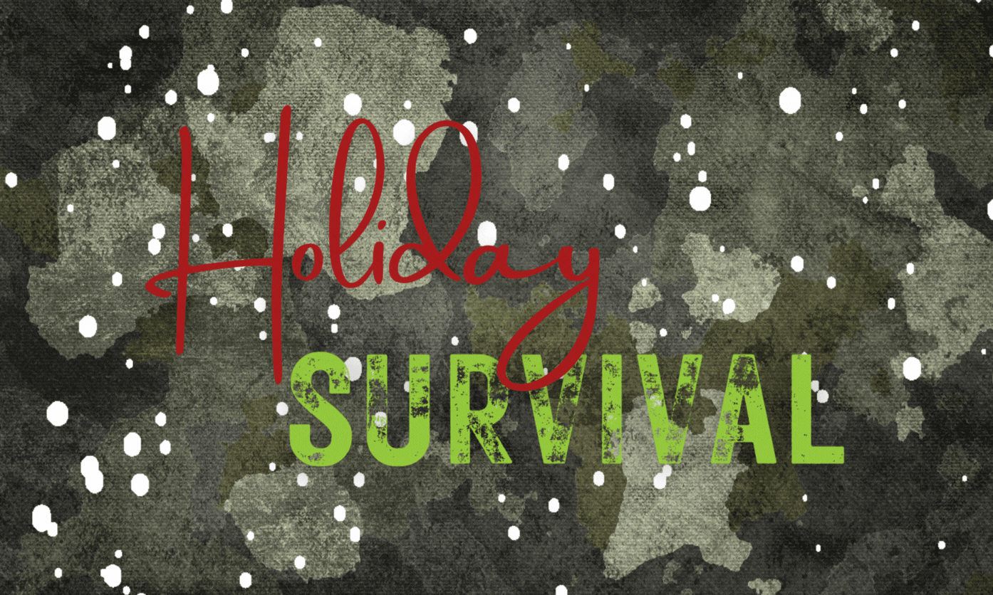 Holiday Survival.gif