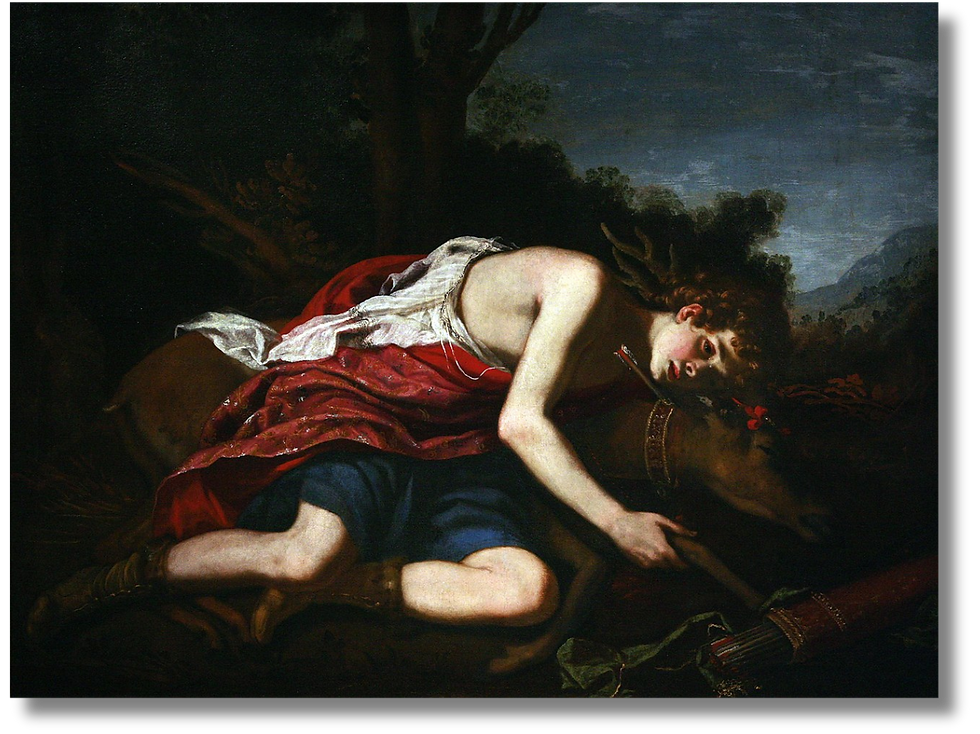 boy leans over the body of a deer with a bolt in its neck