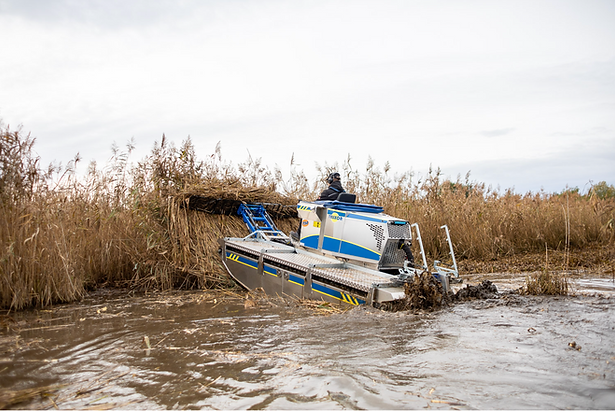 Screenshot 2026-01-28 at 6.59.25 PM.png