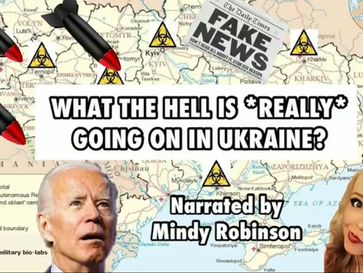 Mindy Robinson's New Mini-Documentary Exposes What's Really Going On In Ukraine 
