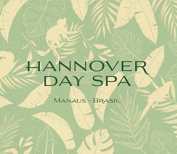 Hannover_Pattern copiar.png