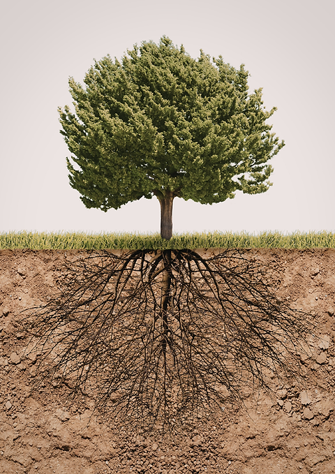 Winter Snowflake A4 Stationary Paper Border (12).png