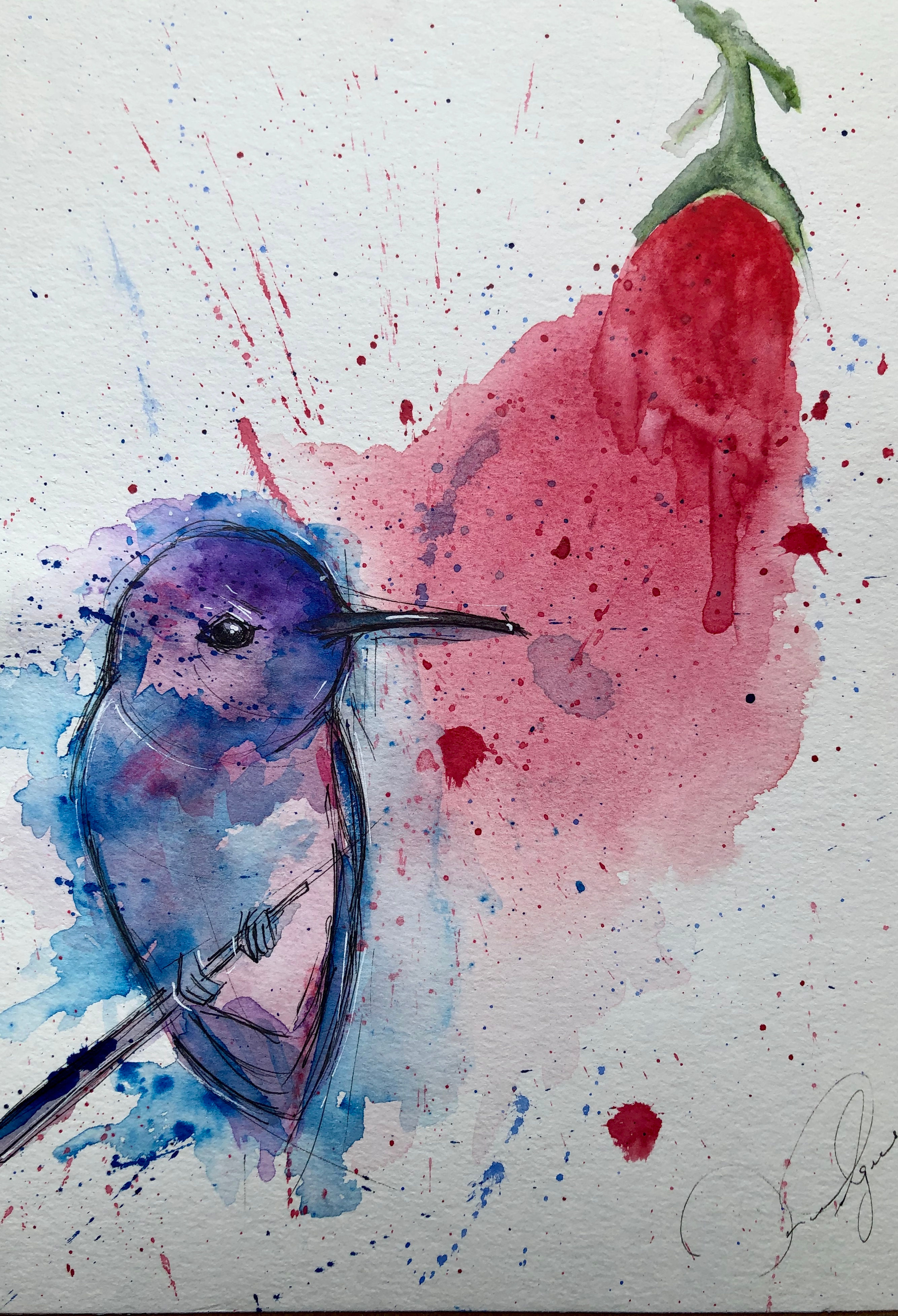 Hummingbird and flower 