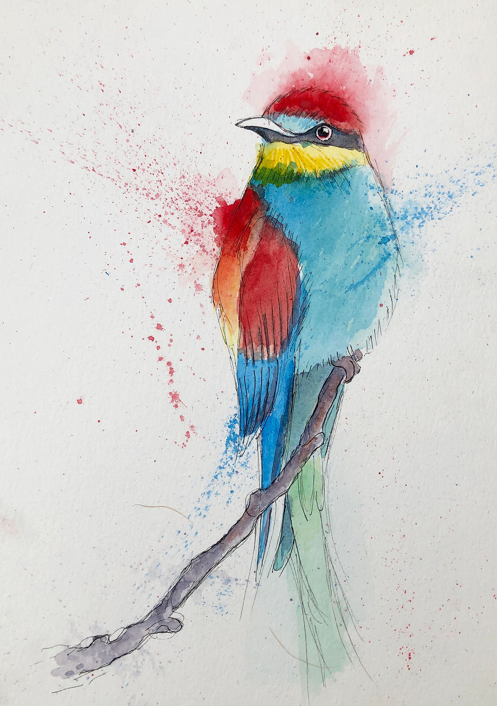 Bee Eater