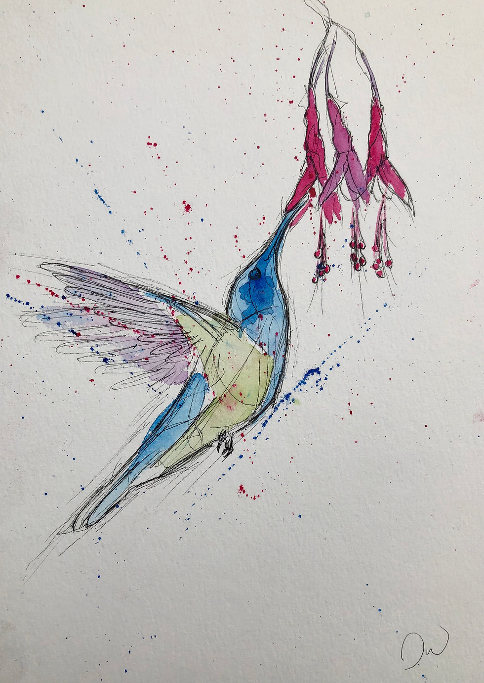 Hummingbird Feeding