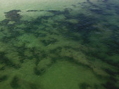 Calm Sea