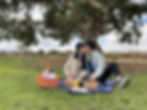 picnic