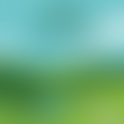 [ SERIES 1: COVID-19 VÀ MÔI TRƯỜNG ]KÌ II: MẶT TRÁI VÀ NỖI LO LẮNG VỀ MÔI TRƯỜNG HẬU COVID-19