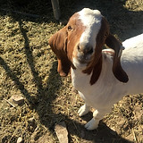 kristina's phones 9-24-2019 087.JPG
