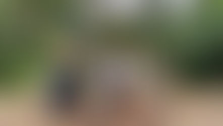 Applications for our 2026 intern program are now open!