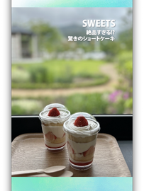 映像はこちらから