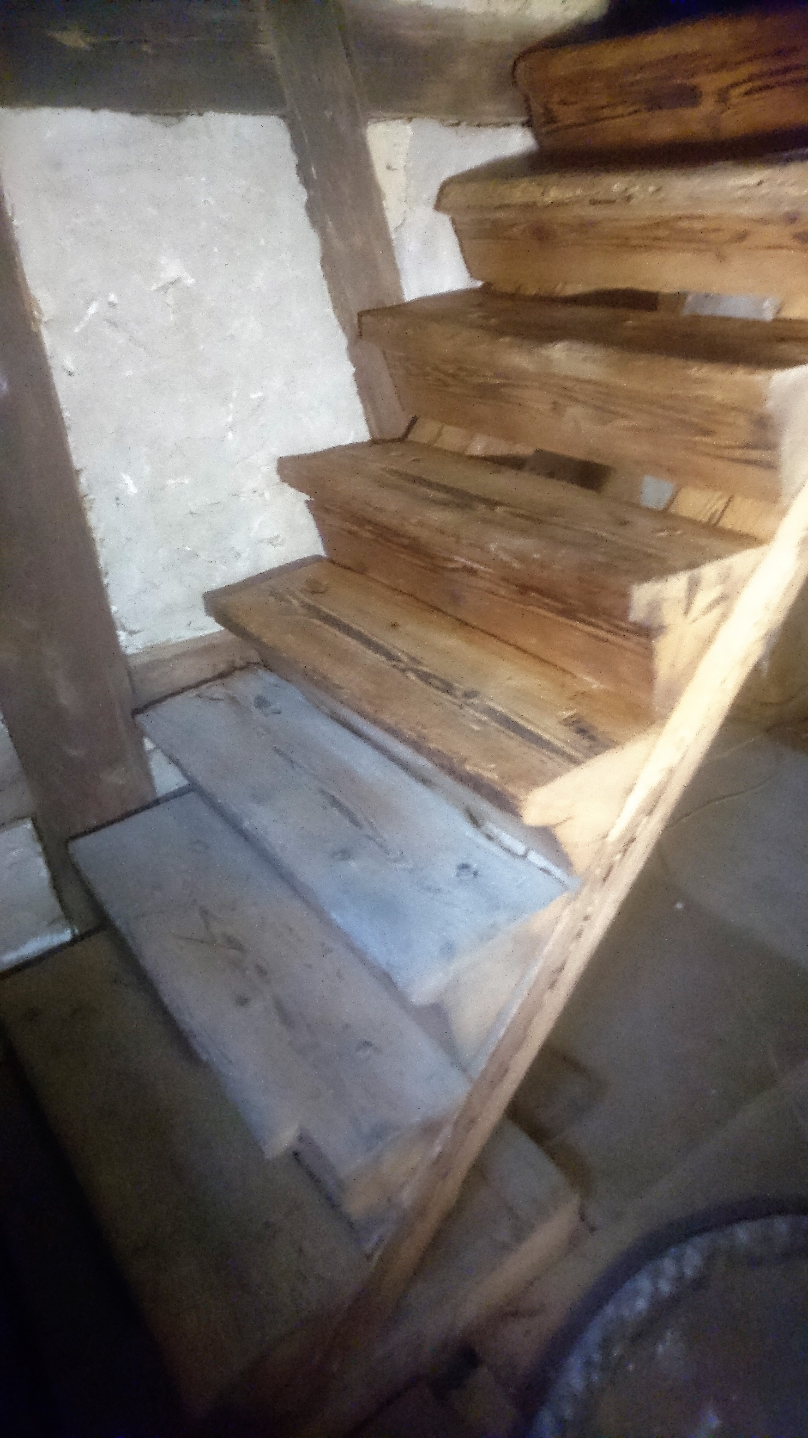 Treppenstufen saniert