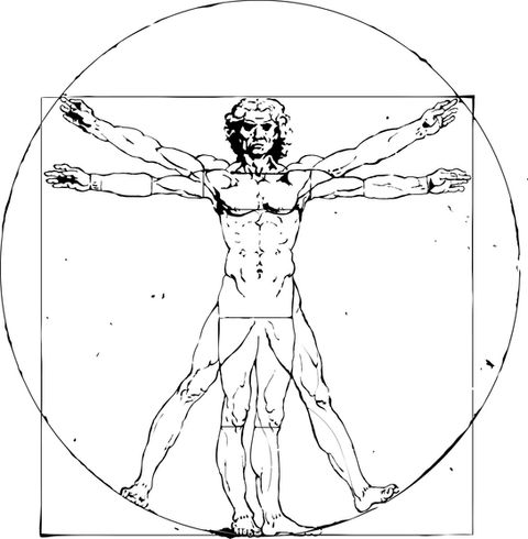 TESSOUAT - DA VINCI - GOLDEN RATIO