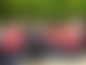 Commémoration de la mort de Jean Moulin le 27 mai 2019