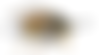 Flies, wasps, hornets and mosquitos. Our summer friends.