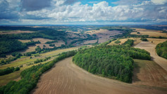 PANORAMIQUE