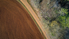 AGRICULTURE