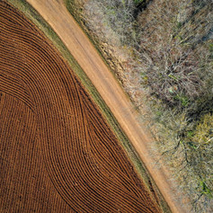 AGRICULTURE